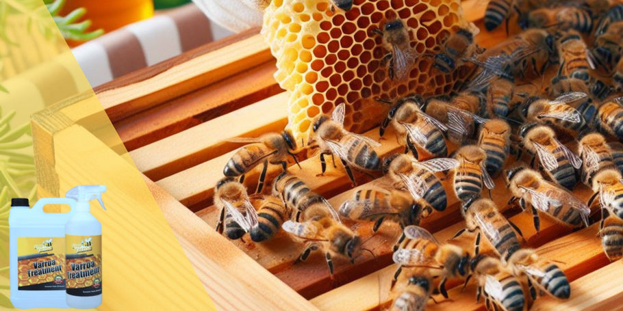 Αντίο Varroa, Γειά σου Υγιείς Κυψέλες: Πλήρης Οδηγός Θεραπειών