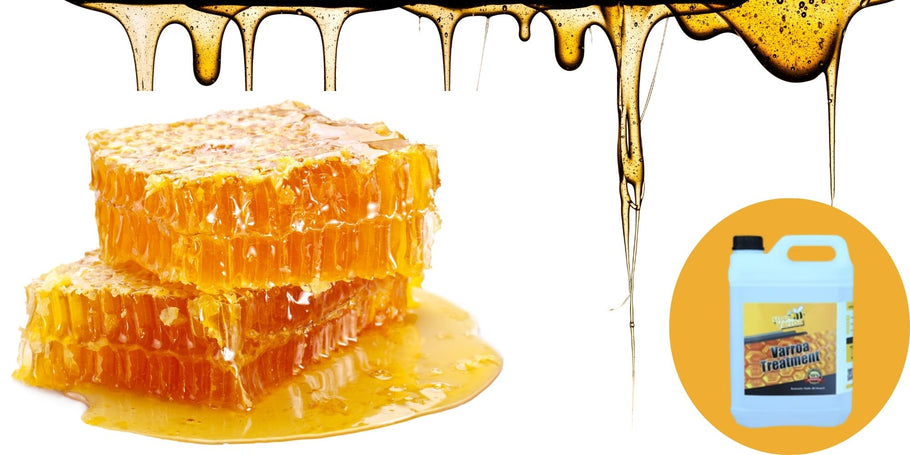 Μελισσοκομία: Συναγερμός για τη μείωση της παραγωγής μελιού!