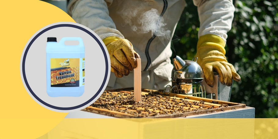 Καταπολέμηση των ακάρεων Varroa: σημαντικές στιγμές για την προστασία της υγείας των μελισσών