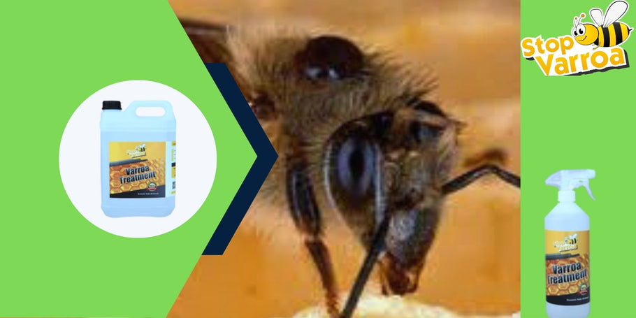 Επανάσταση κατά της Βαρρόα: Η λύση που θα σώσει τις μέλισσές σας