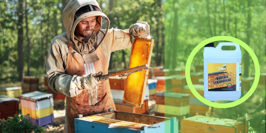 Θεραπεία κατά της Βαρρόα: Προστατέψτε τις μέλισσες σας και ενισχύστε την παραγωγή μελιού