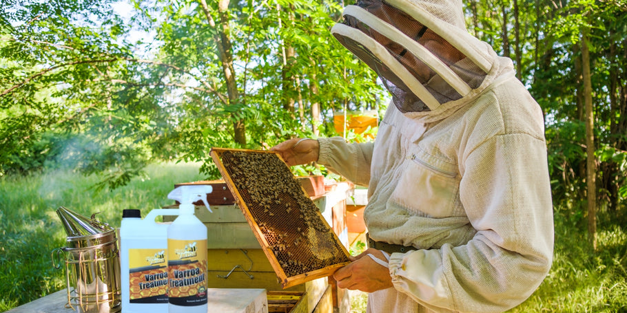 Άκαρι Varroa: απειλή για τις μέλισσες, λύσεις για τους μελισσοκόμους